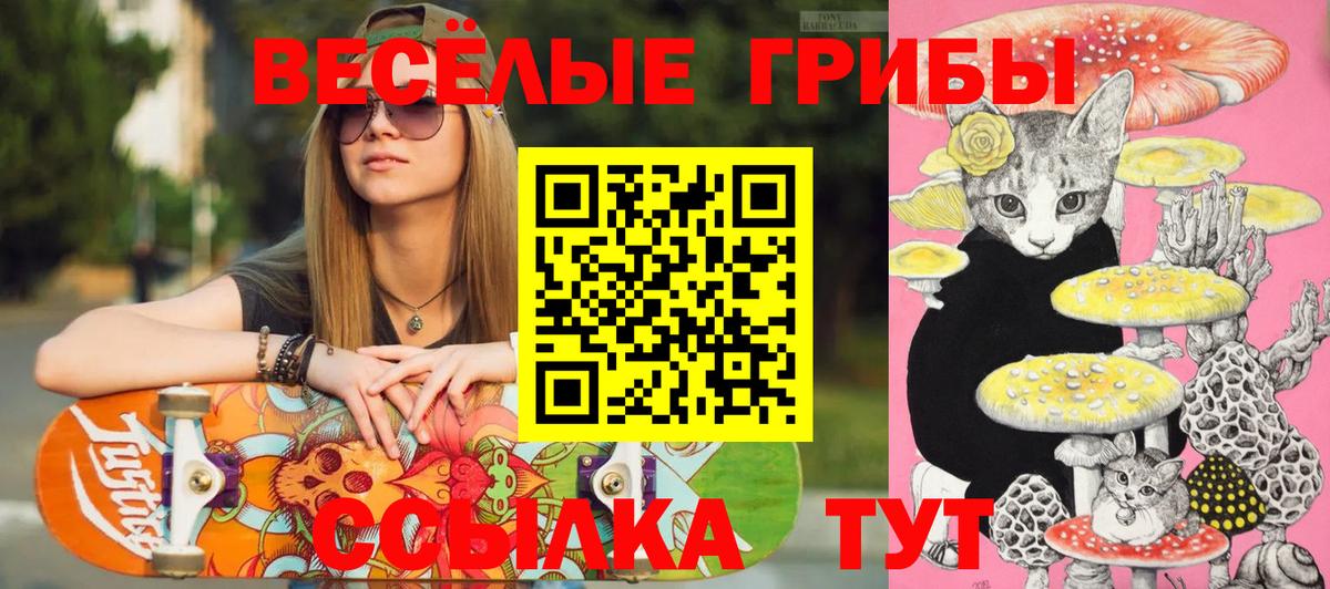 Киров  Галлюциногенные грибы MAGIC MUSHROOMS  Вход с VPN 